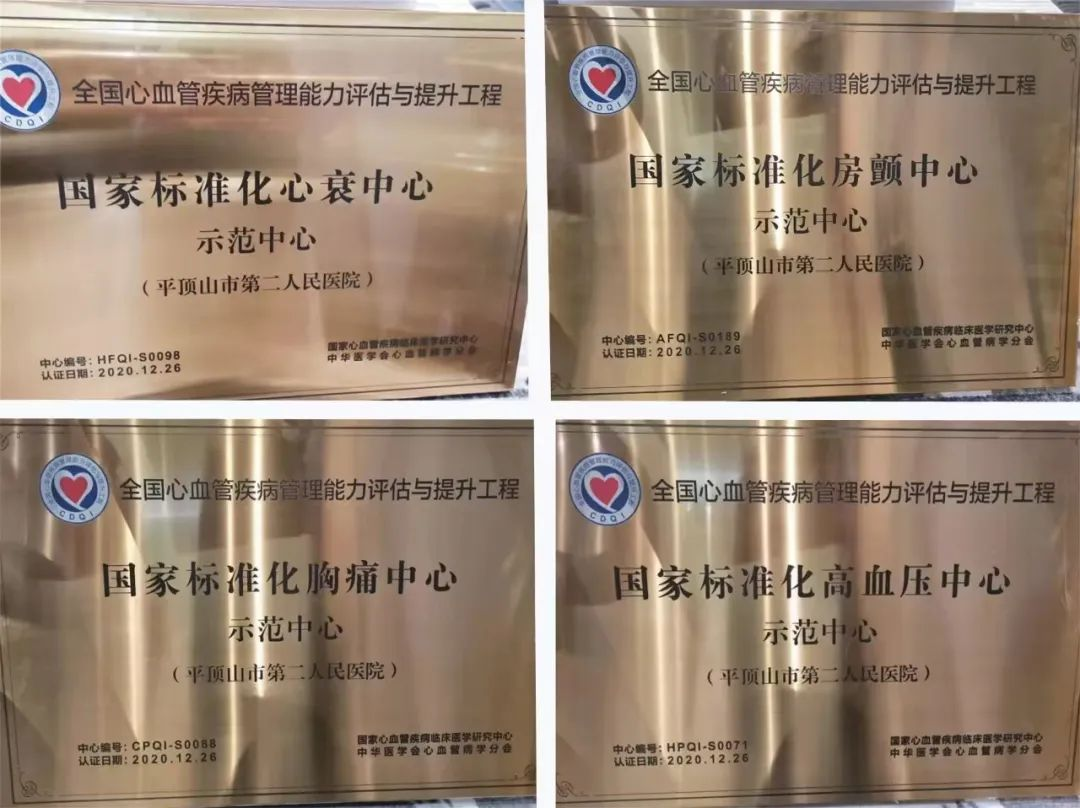 品牌专科11.png