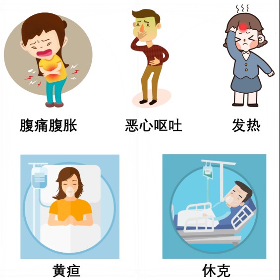 【健康科普】饮食不当，当心会要命的急性胰腺炎430.png